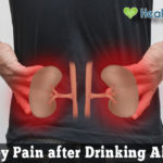 Why Do Your Kidneys Hurt after Drinking Alcohol?