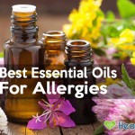 The 5 Best Essential Oils For Allergies